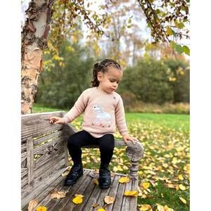 NEW EQUISITE ELEMENTS OF STYLE girl's pretty pony sweater in pink